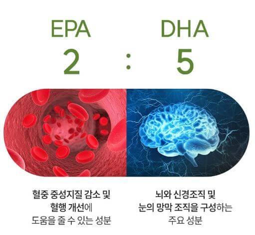 고려은단 오메가3 효능