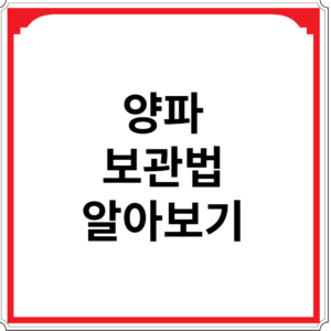 양파-보관법-알아보기