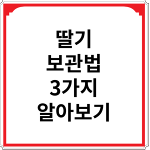 딸기-보관법-6가지-알아보기