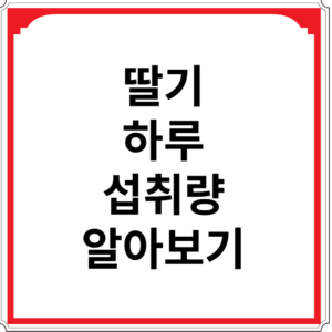 딸기-하루-섭취량-알아보기