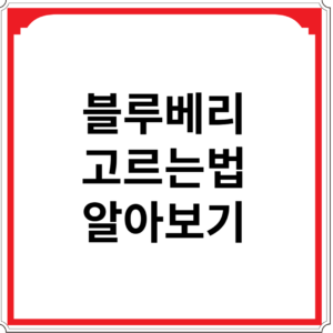 블루베리-고르는법-알아보기