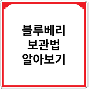 블루베리-보관법-알아보기