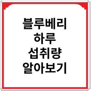 블루베리-하루-섭취량-알아보기