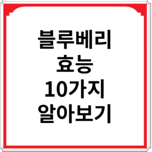 블루베리-효능-10가지-알아보기