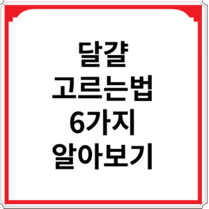 달걀-고르는-법-6가지-알아보기