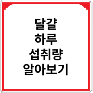 달걀-하루-섭취량-알아보기