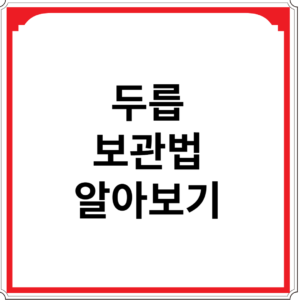 두릅-보관법-알아보기