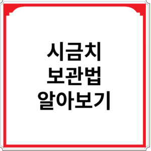 시금치-보관법-알아보기