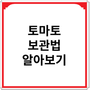 토마토-보관법-알아보기