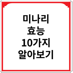미나리-효능-10가지-알아보기