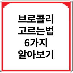 브로콜리-고르는-법-6가지-알아보기