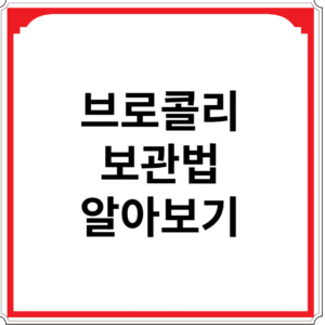 브로콜리-보관법-알아보기