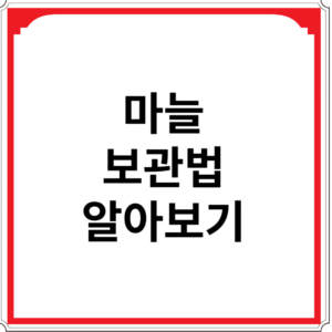 마늘-보관법-알아보기