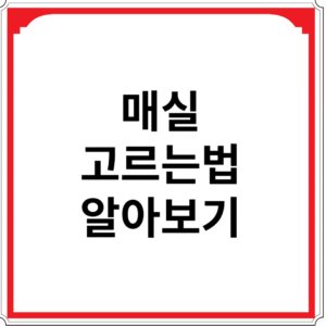 매실-고르는법-알아보기