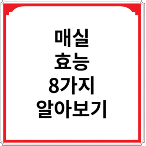 매실-효능-8가지-알아보기