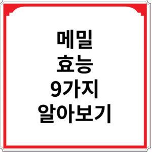 메밀-효능-9가지-알아보기