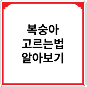 복숭아-고르는법-알아보기