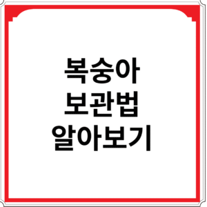 복숭아-보관법-알아보기