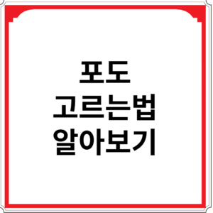 포도-고르는법-알아보기