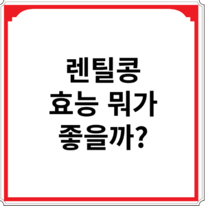 렌틸콩-효능-뭐가-좋을까