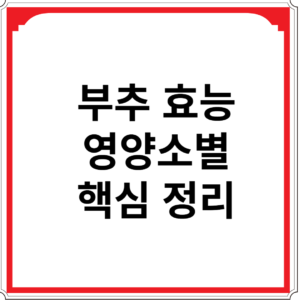 부추-효능-영양소별-핵심-정리