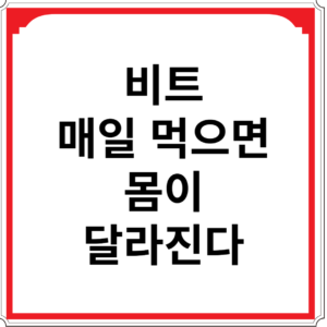 비트-매일-먹으면-몸이-달라진다