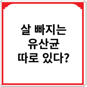 살-빠지는-유산균-따로-있다