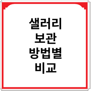 샐러리-보관-방법별-비교