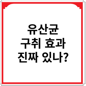 유산균-구취-효과-진짜-있나