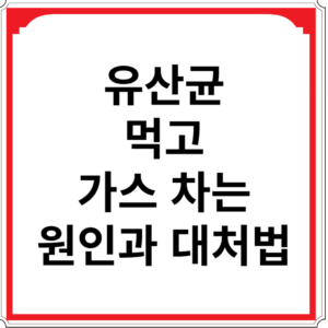 유산균-먹고-가스-차는-원인과-대처법