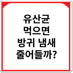 유산균-먹으면-방귀-냄새-줄어들까