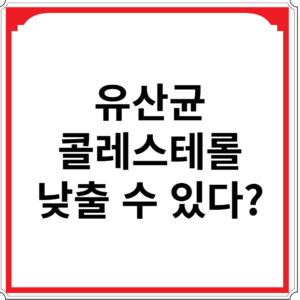 유산균-콜레스테롤-낮출-수-있다