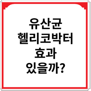 유산균-헬리코박터-효과-있을까