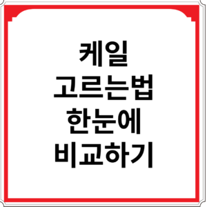 케일-고르는법-한눈에-비교하기