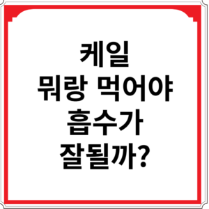 케일-뭐랑-먹어야-흡수가-잘될까