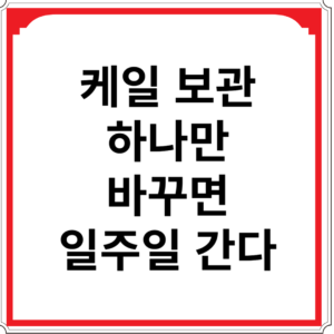 케일-보관-하나만-바꾸면-일주일-간다