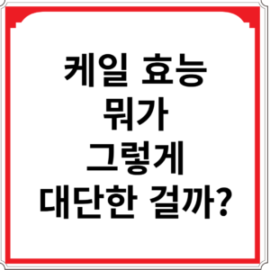 케일-효능-뭐가-그렇게-대단한-걸까