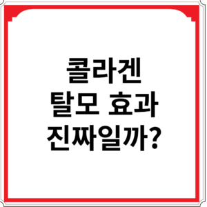 콜라겐-탈모-효과-진짜일까