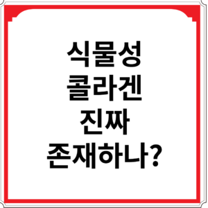 식물성-콜라겐-진짜-존재하나
