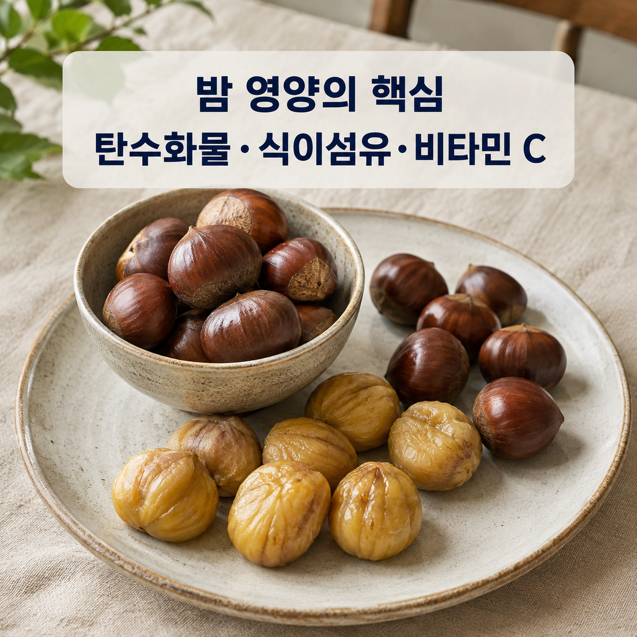 밤 영양의 핵심, 탄수화물·식이섬유·비타민 C 밤 영양의 핵심인 탄수화물·식이섬유·비타민 C를 설명하는 밤 이미지