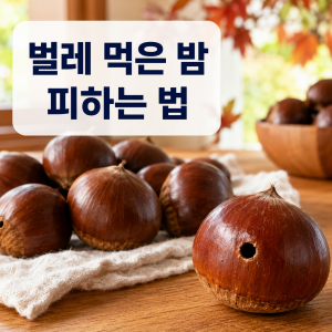 밤 고르는법 7가지와 벌레 먹은 밤을 피하는 방법