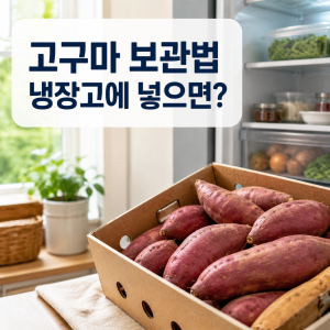 고구마 보관법과 냉장고 보관 여부를 묻는 대표 썸네일